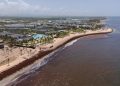 República Dominicana activa operativo ambiental ante la presencia masiva de sargazo