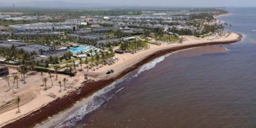 República Dominicana activa operativo ambiental ante la presencia masiva de sargazo