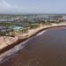 República Dominicana activa operativo ambiental ante la presencia masiva de sargazo