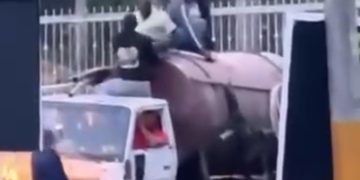 DGM detiene 12 inmigrantes haitianos indocumentados que eran trasladados en el tanque de un camión cisterna