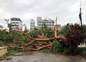 Dos muertos, más de 300 heridos y extensos daños materiales dejó el paso del tifón Danas por Taiwán