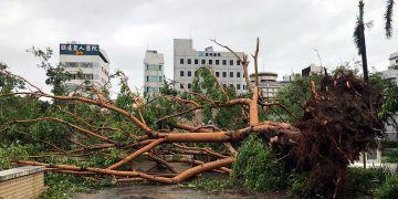 Dos muertos, más de 300 heridos y extensos daños materiales dejó el paso del tifón Danas por Taiwán