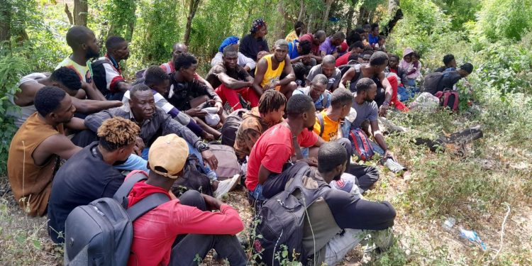 Mediante vigilancia con drones Ejército detiene a 50 extranjeros en situación migratoria irregular en Valverde