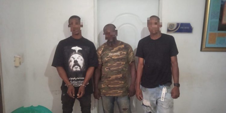 Policía recupera reses robadas y captura en flagrante delito a tres hombres en La Victoria, SDN