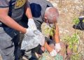 Encuentran sin vida militar accidentado en muro fronterizo de Jimaní