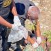 Encuentran sin vida militar accidentado en muro fronterizo de Jimaní