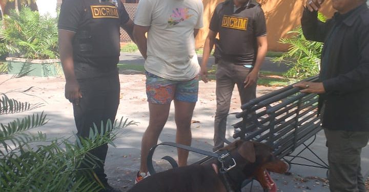 PN arresta hombre acusado de lanzar un perro desde el piso 11 de una torre residencial en el Distrito Nacional y le ocupan otro con signos de maltrato