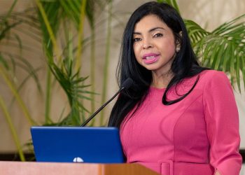 Yeni Berenice explica a diputados propuestas sobre Código Penal
