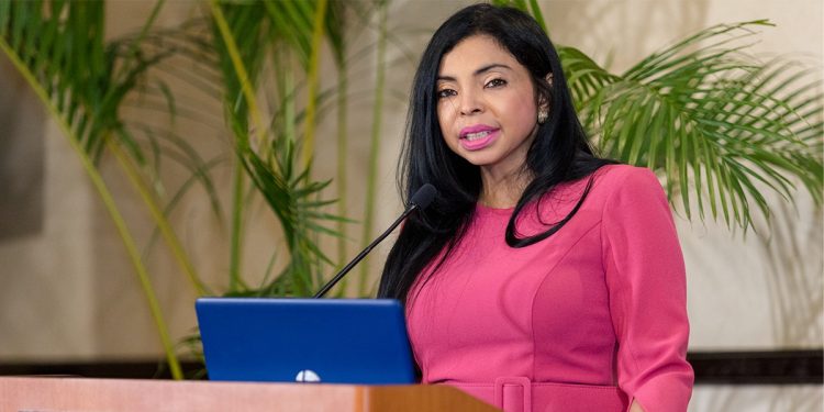 Yeni Berenice explica a diputados propuestas sobre Código Penal