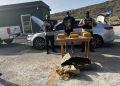 Ocupan 140 paquetes de marihuana en operaciones de interdicción ejecutadas en el AILA y Barahona