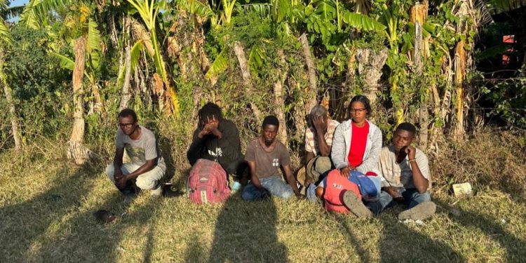 Ejército detiene grupo de haitianos en situación migratoria irregular ocultos en un platanal en Montecristi