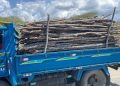 Detienen hombre en camión cargado de madera sin documentación legal en Montecristi