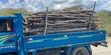 Detienen hombre en camión cargado de madera sin documentación legal en Montecristi