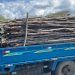 Detienen hombre en camión cargado de madera sin documentación legal en Montecristi