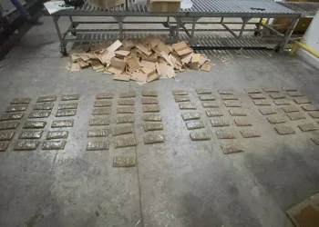 Decomisan 75 láminas de droga ocultas en cajas de tabaco que serían enviadas a EE.UU.