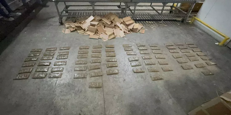 Decomisan 75 láminas de droga ocultas en cajas de tabaco que serían enviadas a EE.UU.