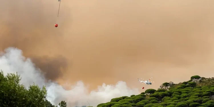 Incendio al sur de España obliga evacuar miles de turistas y bañistas