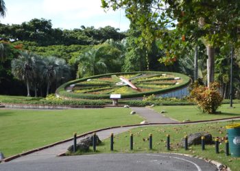 Entrada gratuita al Jardín Botánico el 17 de agosto por su 49 aniversario