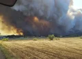 Arde el sur de Francia: al menos un muerto y más de 11.000 hectáreas arrasadas