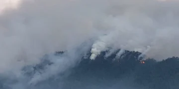 Incendio obliga cierre temporal del Parque Nacional Armando Bermúdez