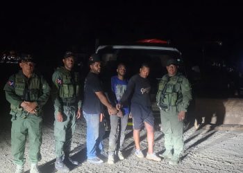 Medio Ambiente y SENPA incautan 22 pinos eran transportamos sin permiso en La Vega