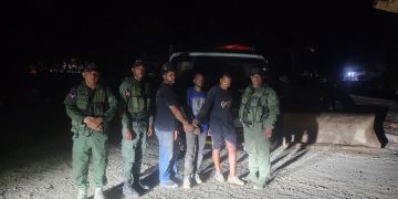 Medio Ambiente y SENPA incautan 22 pinos eran transportamos sin permiso en La Vega