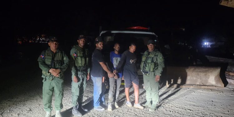 Medio Ambiente y SENPA incautan 22 pinos eran transportamos sin permiso en La Vega