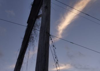 Edesur informa que incendio afecta estructura de redes eléctricas y deja sin servicio a comunidades de Barahona
