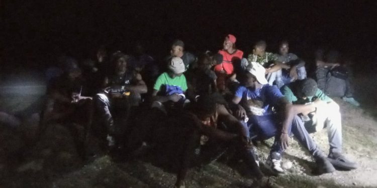 Detienen grupo de haitianos indocumentados ocultos en matorrales en Azua