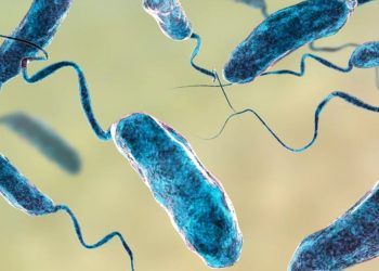 Salud Pública solicita autopsia para determinar causas deceso de una mujer  