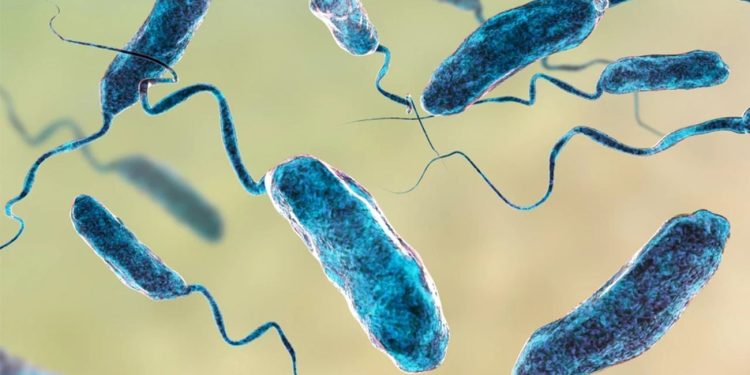 Salud Pública solicita autopsia para determinar causas deceso de una mujer