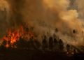 Incendios forestales arrasan varias regiones de España: un muerto y miles de evacuados