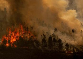Incendios forestales arrasan varias regiones de España: un muerto y miles de evacuados