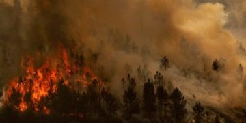Incendios forestales arrasan varias regiones de España: un muerto y miles de evacuados