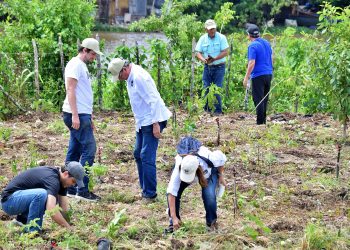 Fundación Ex Alumnos Loyola 79 concluye jornada de siembra en Domingo Savio con más de 5,500 árboles nativos