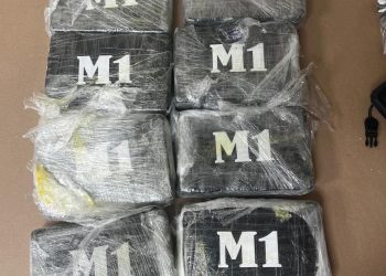 DNCD impide envío de ocho paquetes de cocaína a España