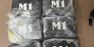 DNCD impide envío de ocho paquetes de cocaína a España