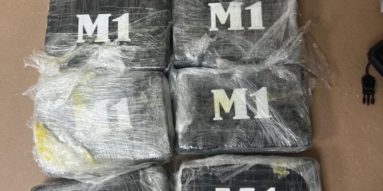 DNCD impide envío de ocho paquetes de cocaína a España