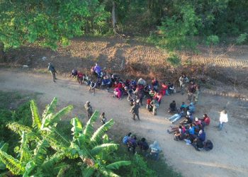 Localizan con drones y detienen a 53 haitianos indocumentados en zonas boscosas de Montecristi