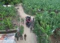 Con drones Ejército localiza y detiene a 17 haitianos indocumentados que se ocultaban en un platanal en Mao