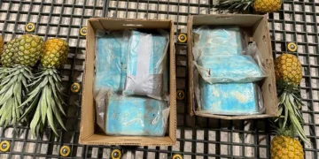 DNCD frustra envío de 30 paquetes presumiblemente cocaína a Alemania