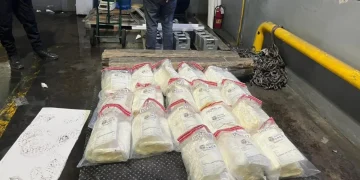 DNCD confisca en aeropuerto Cibao cocaína camuflada en cajas de pescado