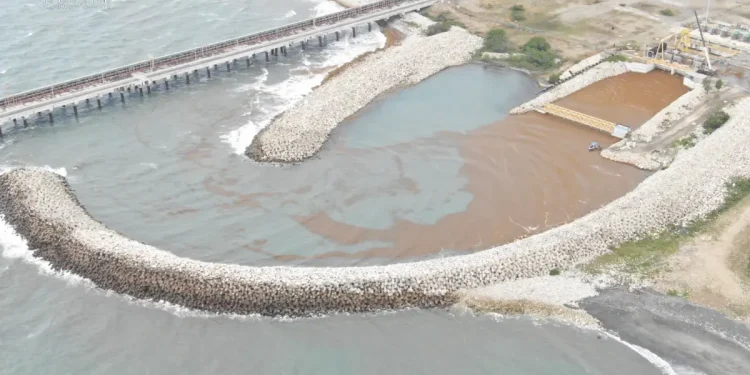 Unidad 1 de Punta Catalina sale de operación por obstrucción de sargazo