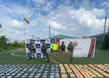 Autoridades de Colombia incautan más de 1,1 toneladas de marihuana