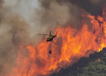 España continúa lucha contra incendios que ya arrasaron más de 380,000 hectáreas