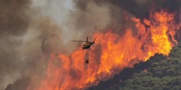 España continúa lucha contra incendios que ya arrasaron más de 380,000 hectáreas