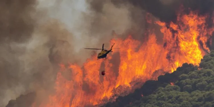 España continúa lucha contra incendios que ya arrasaron más de 380,000 hectáreas