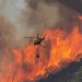 España continúa lucha contra incendios que ya arrasaron más de 380,000 hectáreas