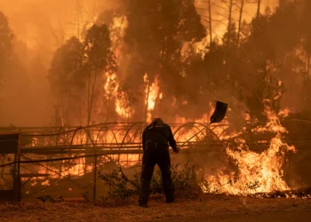 Gobierno español declara zona catastrófica en 16 comunidades afectadas por emergencias climáticas