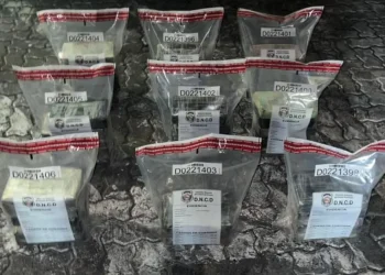 Investigación en curso por incautación de cocaína en Puerto Caucedo